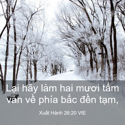 Picture 03 - Xuất Hành 26:20 VIE - Lại hãy làm hai mươi tấm ván về phía - Bible Verse Picture