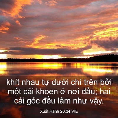 Picture 03 - Xuất Hành 26:24 VIE - khít nhau tự dưới chí trên bởi một - Bible Verse Picture