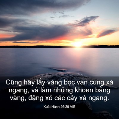 Picture 03 - Xuất Hành 26:29 VIE - Cũng hãy lấy vàng bọc ván cùng xà - Bible Verse Picture