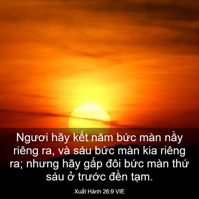 Picture 03 - Xuất Hành 26:9 VIE - Ngươi hãy kết năm bức màn nầy riêng - Bible Verse Picture