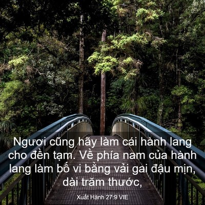 Picture 03 - Xuất Hành 27:9 VIE - Ngươi cũng hãy làm cái hành lang cho - Bible Verse Picture
