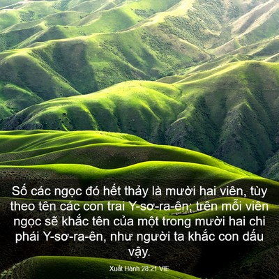 Picture 03 - Xuất Hành 28:21 VIE - Số các ngọc đó hết thảy là mười - Bible Verse Picture