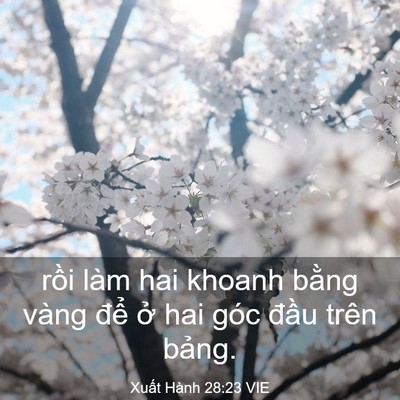 Picture 03 - Xuất Hành 28:23 VIE - rồi làm hai khoanh bằng vàng để ở hai - Bible Verse Picture