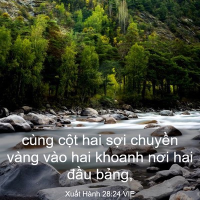 Picture 03 - Xuất Hành 28:24 VIE - cùng cột hai sợi chuyền vàng vào hai - Bible Verse Picture