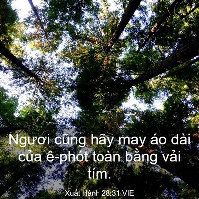 Picture 03 - Xuất Hành 28:31 VIE - Ngươi cũng hãy may áo dài của ê-phót - Bible Verse Picture