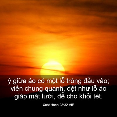 Picture 03 - Xuất Hành 28:32 VIE - ỳ giữa áo có một lỗ tròng đầu vào; - Bible Verse Picture