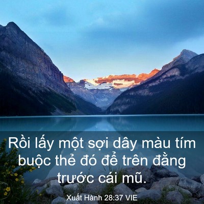 Picture 03 - Xuất Hành 28:37 VIE - Rồi lấy một sợi dây màu tím buộc - Bible Verse Picture