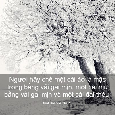 Picture 03 - Xuất Hành 28:39 VIE - Ngươi hãy chế một cái áo lá mặc trong - Bible Verse Picture