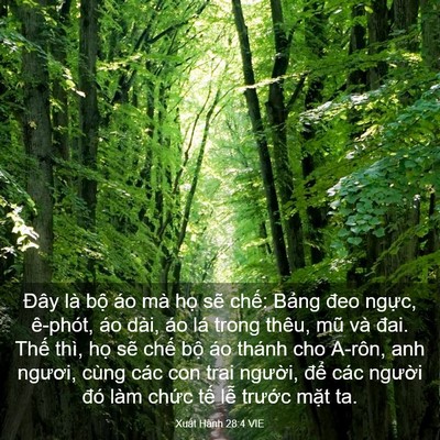 Picture 03 - Xuất Hành 28:4 VIE - Đây là bộ áo mà họ sẽ chế: Bảng - Bible Verse Picture
