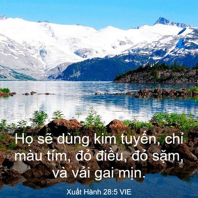 Picture 03 - Xuất Hành 28:5 VIE - Họ sẽ dùng kim tuyến, chỉ màu tím, - Bible Verse Picture