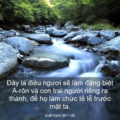 Picture 03 - Xuất Hành 29:1 VIE - Đây là điều ngươi sẽ làm đặng - Bible Verse Picture