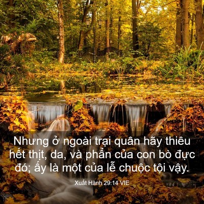 Picture 03 - Xuất Hành 29:14 VIE - Nhưng ở ngoài trại quân hãy thiêu hết - Bible Verse Picture