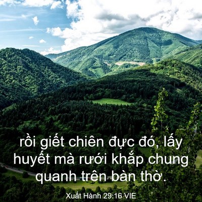 Picture 03 - Xuất Hành 29:16 VIE - rồi giết chiên đực đó, lấy huyết - Bible Verse Picture