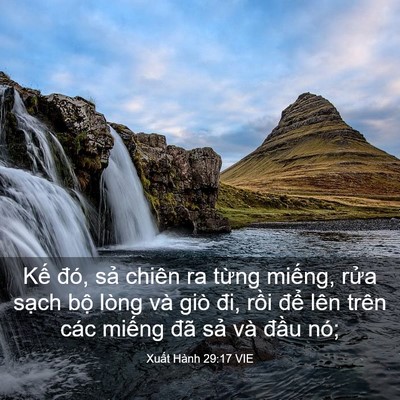 Picture 03 - Xuất Hành 29:17 VIE - Kế đó, sả chiên ra từng miếng, rửa - Bible Verse Picture