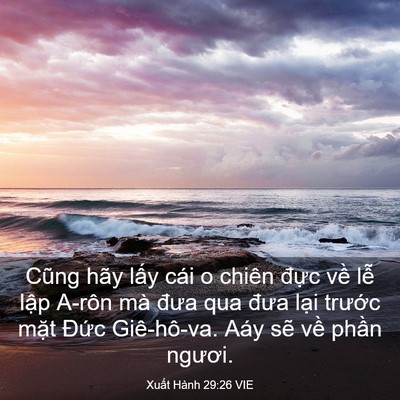 Picture 03 - Xuất Hành 29:26 VIE - Cũng hãy lấy cái o chiên đực về lễ - Bible Verse Picture