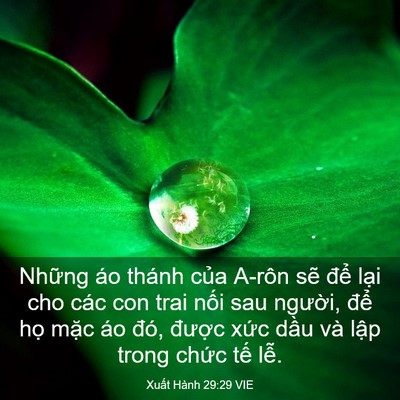 Picture 03 - Xuất Hành 29:29 VIE - Những áo thánh của A-rôn sẽ để lại - Bible Verse Picture