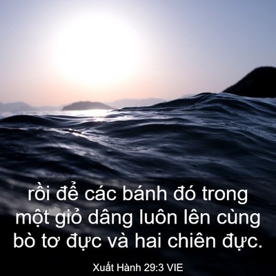 Picture 03 - Xuất Hành 29:3 VIE - rồi để các bánh đó trong một giỏ - Bible Verse Picture