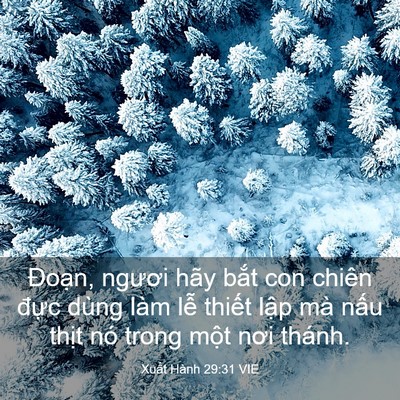 Picture 03 - Xuất Hành 29:31 VIE - Đoạn, ngươi hãy bắt con chiên đực - Bible Verse Picture