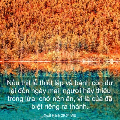 Picture 03 - Xuất Hành 29:34 VIE - Nếu thịt lễ thiết lập và bánh còn - Bible Verse Picture