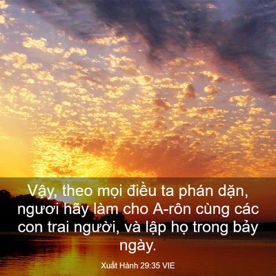 Picture 03 - Xuất Hành 29:35 VIE - Vậy, theo mọi điều ta phán dặn, ngươi - Bible Verse Picture