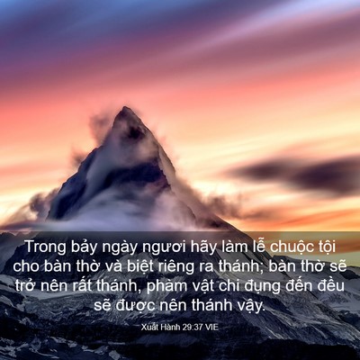 Picture 03 - Xuất Hành 29:37 VIE - Trong bảy ngày ngươi hãy làm lễ chuộc - Bible Verse Picture