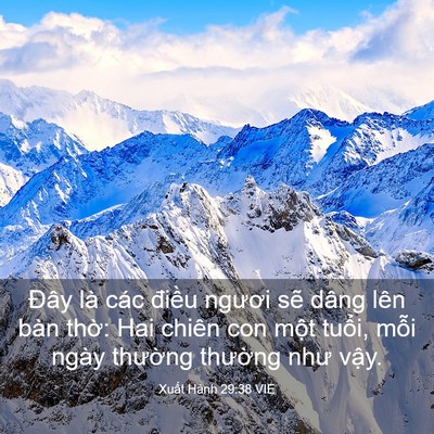 Picture 03 - Xuất Hành 29:38 VIE - Đây là các điều ngươi sẽ dâng lên - Bible Verse Picture