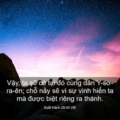 Picture 03 - Xuất Hành 29:43 VIE - Vậy, ta sẽ có tại đó cùng dân - Bible Verse Picture