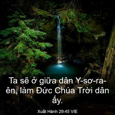 Picture 03 - Xuất Hành 29:45 VIE - Ta sẽ ở giữa dân Y-sơ-ra-ên, làm Đức - Bible Verse Picture