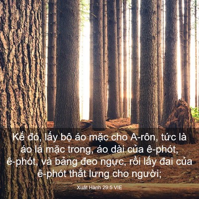 Picture 03 - Xuất Hành 29:5 VIE - Kế đó, lấy bộ áo mặc cho A-rôn, tức - Bible Verse Picture