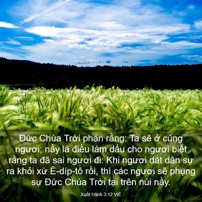 Picture 03 - Xuất Hành 3:12 VIE - Đức Chúa Trời phán rằng: Ta sẽ ở - Bible Verse Picture