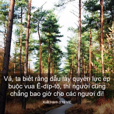 Picture 03 - Xuất Hành 3:19 VIE - Vả, ta biết rằng dẫu lấy quyền lực - Bible Verse Picture