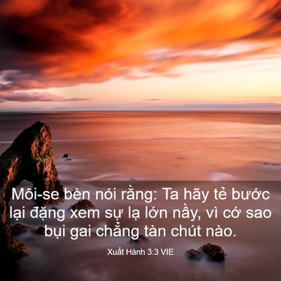 Picture 03 - Xuất Hành 3:3 VIE - Môi-se bèn nói rằng: Ta hãy tẻ bước - Bible Verse Picture