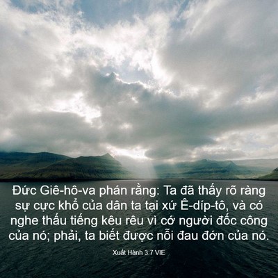 Picture 03 - Xuất Hành 3:7 VIE - Đức Giê-hô-va phán rằng: Ta đã thấy - Bible Verse Picture