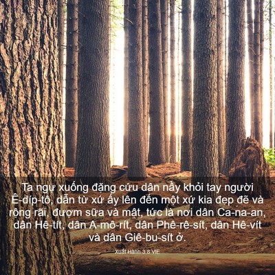 Picture 03 - Xuất Hành 3:8 VIE - Ta ngự xuống đặng cứu dân nầy khỏi - Bible Verse Picture