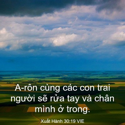 Picture 03 - Xuất Hành 30:19 VIE - A-rôn cùng các con trai người sẽ rửa - Bible Verse Picture