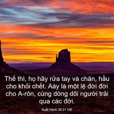 Picture 03 - Xuất Hành 30:21 VIE - Thế thì, họ hãy rửa tay và chân, hầu - Bible Verse Picture