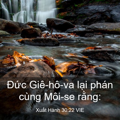 Picture 03 - Xuất Hành 30:22 VIE - Đức Giê-hô-va lại phán cùng Môi-se - Bible Verse Picture