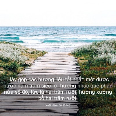 Picture 03 - Xuất Hành 30:23 VIE - Hãy góp các hương liệu tốt nhất: một - Bible Verse Picture