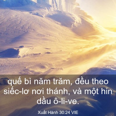 Picture 03 - Xuất Hành 30:24 VIE - quế bì năm trăm, đều theo siếc-lơ nơi - Bible Verse Picture
