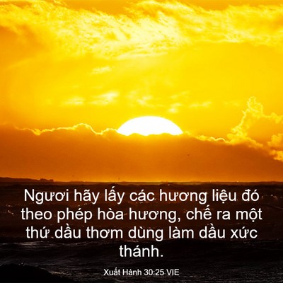 Picture 03 - Xuất Hành 30:25 VIE - Ngươi hãy lấy các hương liệu đó theo - Bible Verse Picture