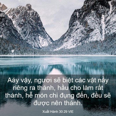 Picture 03 - Xuất Hành 30:29 VIE - Aáy vậy, ngươi sẽ biệt các vật nầy - Bible Verse Picture