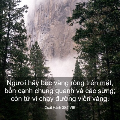 Picture 03 - Xuất Hành 30:3 VIE - Ngươi hãy bọc vàng ròng trên mặt, bốn - Bible Verse Picture