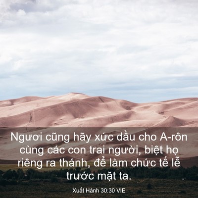Picture 03 - Xuất Hành 30:30 VIE - Ngươi cũng hãy xức dầu cho A-rôn cùng - Bible Verse Picture