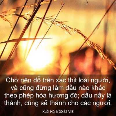 Picture 03 - Xuất Hành 30:32 VIE - Chớ nên đổ trên xác thịt loài - Bible Verse Picture