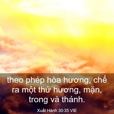 Picture 03 - Xuất Hành 30:35 VIE - theo phép hòa hương, chế ra một thứ - Bible Verse Picture