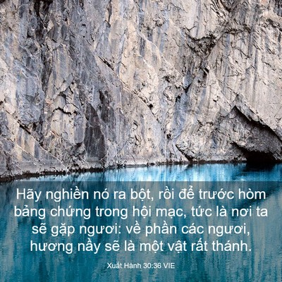 Picture 03 - Xuất Hành 30:36 VIE - Hãy nghiền nó ra bột, rồi để trước - Bible Verse Picture