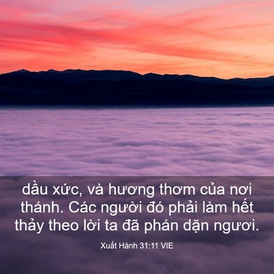 Picture 03 - Xuất Hành 31:11 VIE - dầu xức, và hương thơm của nơi thánh. - Bible Verse Picture