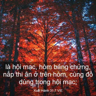 Picture 03 - Xuất Hành 31:7 VIE - là hội mạc, hòm bảng chứng, nắp thi - Bible Verse Picture