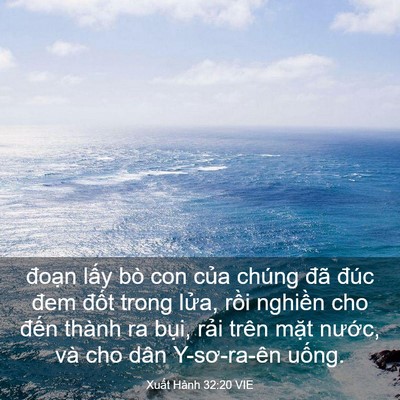 Picture 03 - Xuất Hành 32:20 VIE - đoạn lấy bò con của chúng đã đúc - Bible Verse Picture