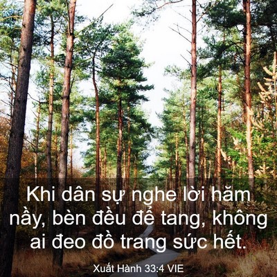 Picture 03 - Xuất Hành 33:4 VIE - Khi dân sự nghe lời hăm nầy, bèn đều - Bible Verse Picture